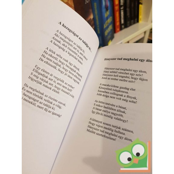 Bradányi Iván: Szivárványt főzök télire (versek)