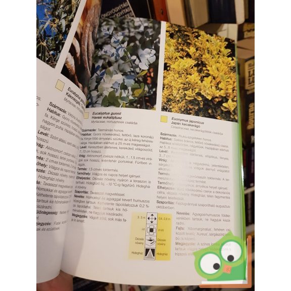 Martin Haberer: Szobanövények - lakásba, teraszra, irodába és télikertbe