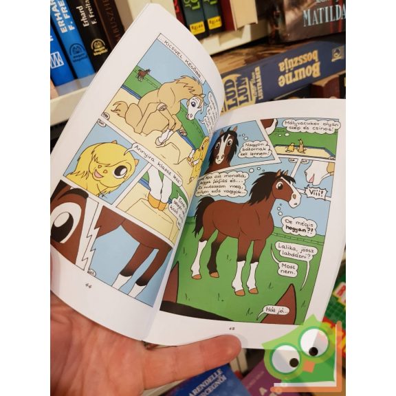 Gyükér Zsófia: Szofisztorik I-V. kötet