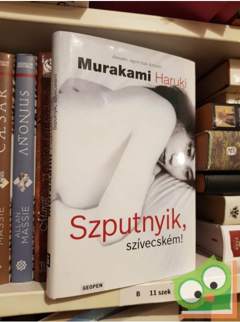 Murakami Haruki: Szputnyik, szívecském!