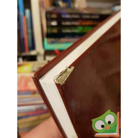 Jules Verne: Sztrogof Mihály