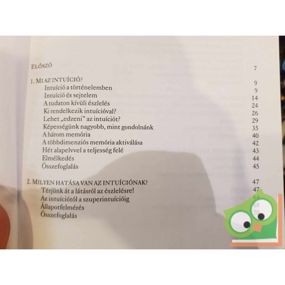 Kurt Tepperwein: Szuperintuíció - A belső hang üzenete (nagyon ritka)