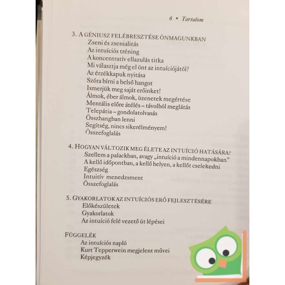 Kurt Tepperwein: Szuperintuíció - A belső hang üzenete (nagyon ritka)