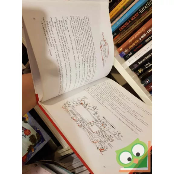 Tersánszky Józsi Jenő: Misi Mókus kalandjai