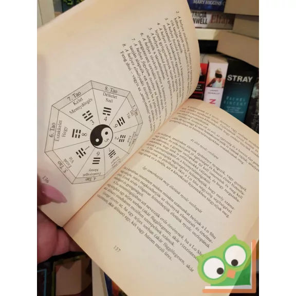 Chian Zettnersan mester: A Tao numerológiája