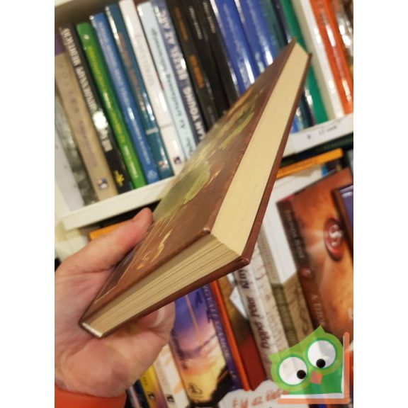 John Heider: Tao Út a vezetéshez