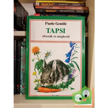 Paolo Gentile: Tapsi elveszik és megkerül