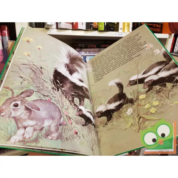 Paolo Gentile: Tapsi elveszik és megkerül