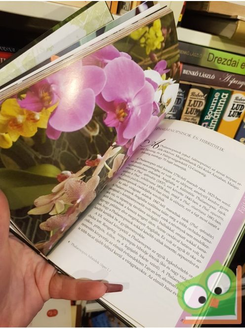 Tátrai Zsuzsa: Orchideák (második, bővített kiadás, RITKA)