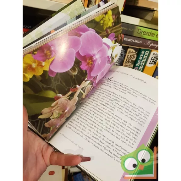 Tátrai Zsuzsa: Orchideák (második, bővített kiadás, RITKA)