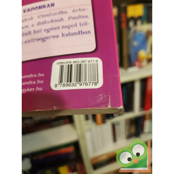 Tea Stilton: Tea angyalai a vadonban (Cinnfordi kalandok 3.)