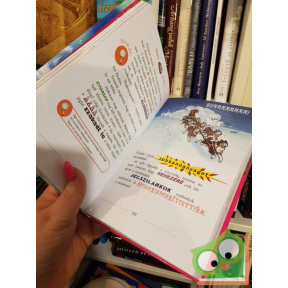 Tea Stilton: A jégbe zárt kincs (Tea angyalai 9.)