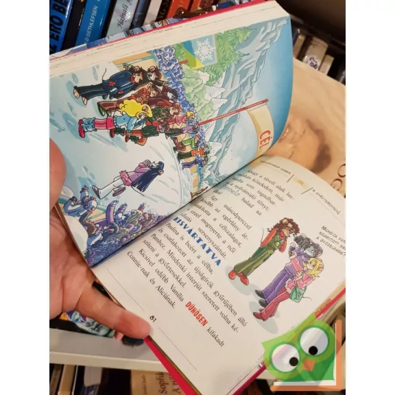 Tea Stilton: Párviadal ​a jégen (Cinnfordi kalandok 10.)