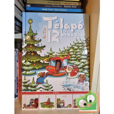Őszi Zoltán: Télapó 12 hónapja