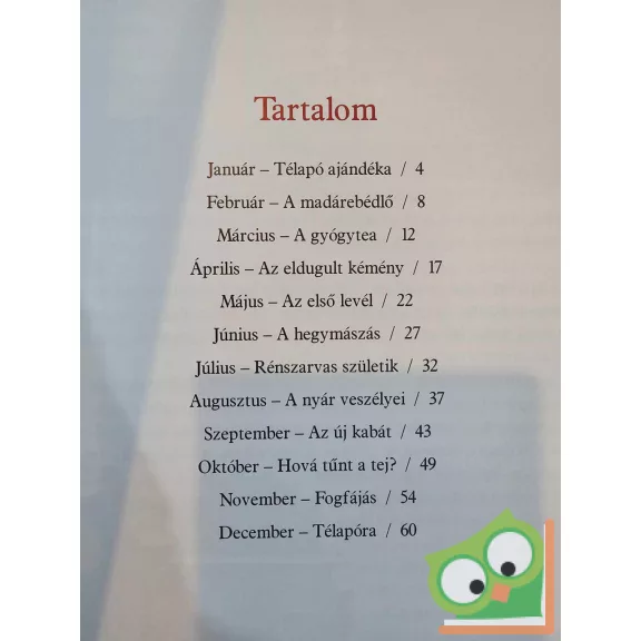 Őszi Zoltán: Télapó 12 hónapja