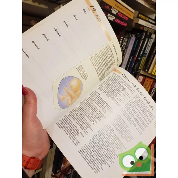 Nina Grunfeld: Terhesség hétről hétre