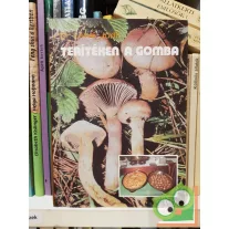 Lévai Judit: Terítéken a gomba