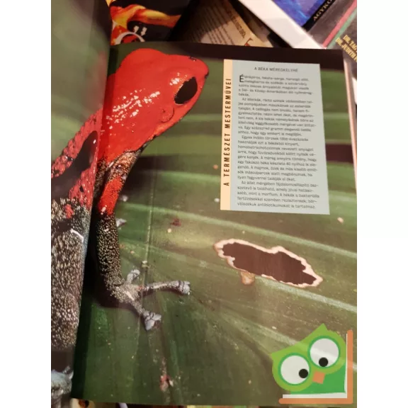 Michael Bright, David Burnie, Tamsin Constable, Paul Simons: A természet ezernyi csodája (Reader's Digest)