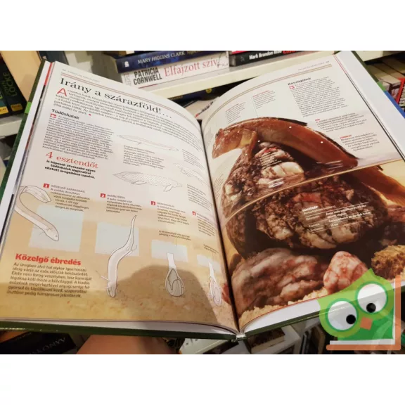 Ujhelyi Péter (szerk.): Halak és kétéltűek (Természettudományi enciklopédia 10.)