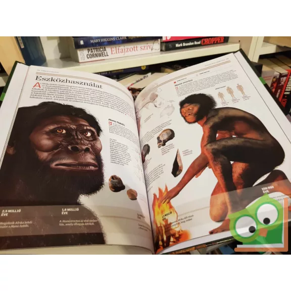 Vági Balázs (szerk.): Evolúció és genetika (Természettudományi enciklopédia 2.)