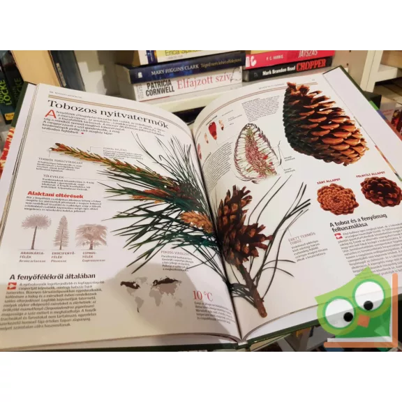 Ujhelyi Péter (szerk.): Növények és gombák (Természettudományi enciklopédia 6.)