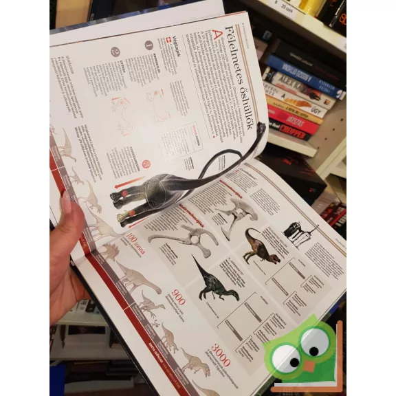 Ujhelyi Péter (szerk.): Őslények és hüllők (Természettudományi enciklopédia 9.)