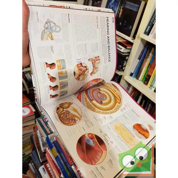 Dr. Alice Roberts: The Complete Human Body - The Definitive Visual Guid