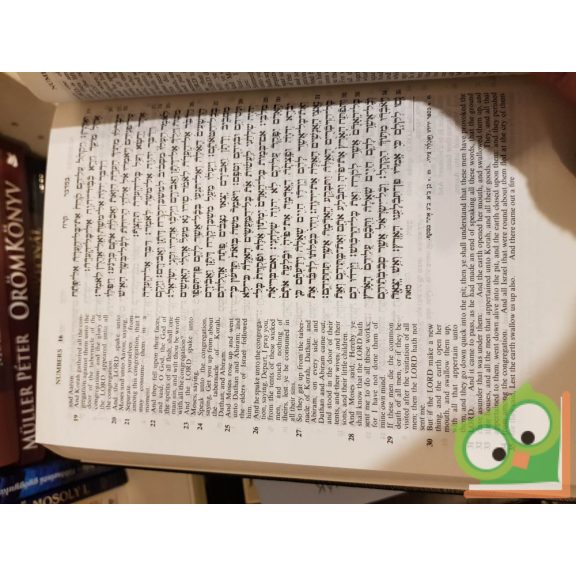 Tora, Neviim, Ketuvim / The Holy Scriptures