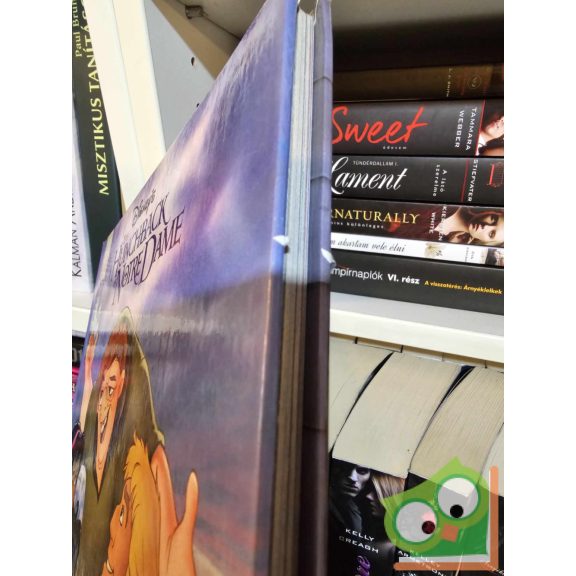 Walt Disney - The Hunchback of Notre Dame (ritka)