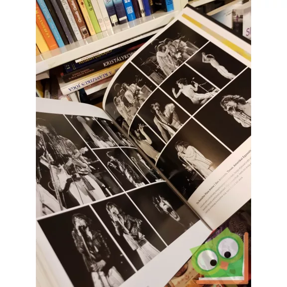 Mick Jagger, Keith Richards, Charlie Watts, Ronnie Wood: The Rolling Stones: 50 (magyar nyelvű)