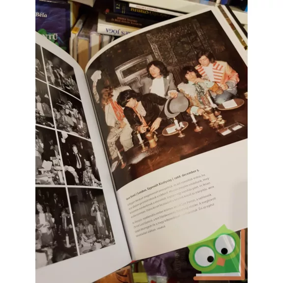 Mick Jagger, Keith Richards, Charlie Watts, Ronnie Wood: The Rolling Stones: 50 (magyar nyelvű)