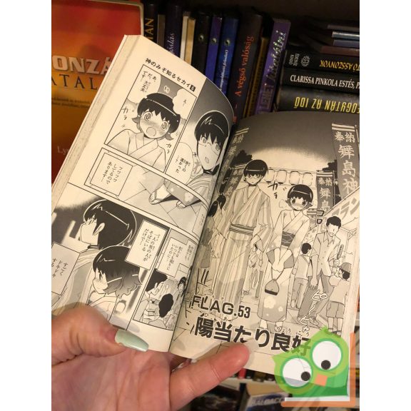 Tamiki Wakaki: The World God Only Knows  Vol. 6. (japán nyelvű manga)