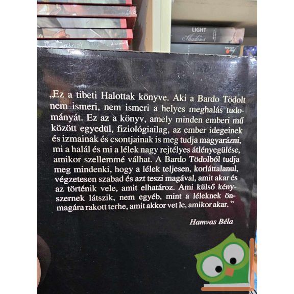 Tibeti halottaskönyv - A bardó útmutatás nagykönyve