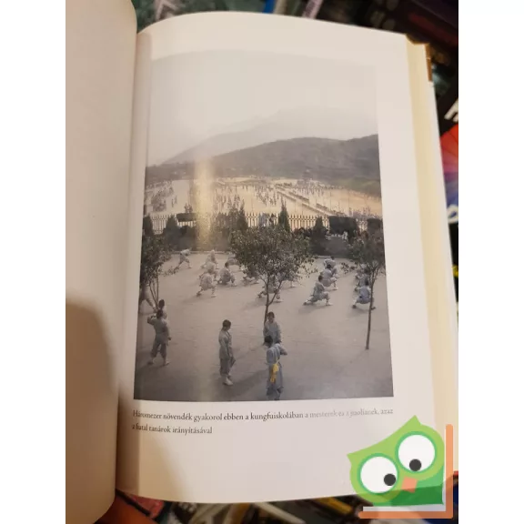 Baló Júlia: Tigrismester