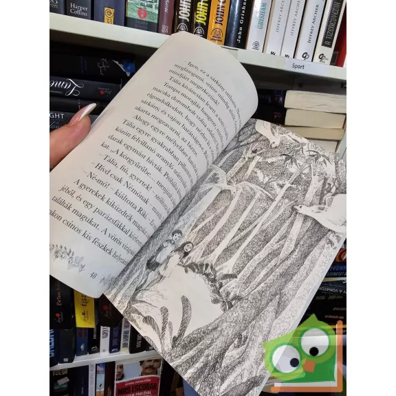 Paula Harrison: A kis tűzmadár (Titkos jótevők 3.)