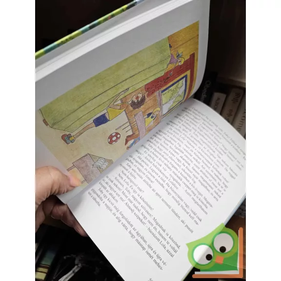 Beck Andrea: A titok klub (A Titoktündér 2.)