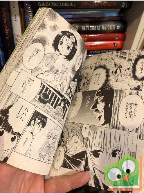 Kentaro Yabuki: To Love Ru Vol 13. (japán nyelvű manga)