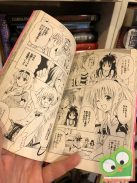 Kentaro Yabuki: To Love Ru Vol 14. (japán nyelvű manga)