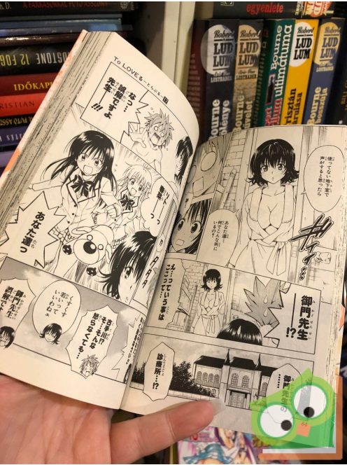 Kentaro Yabuki: To Love Ru Vol 17. (japán nyelvű manga)