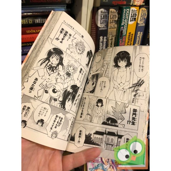 Kentaro Yabuki: To Love Ru Vol 17. (japán nyelvű manga)