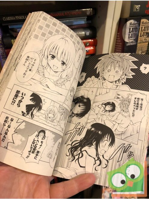 Kentaro Yabuki: To Love Ru Vol 18. (japán nyelvű manga)