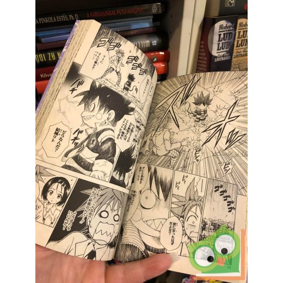 Kentaro Yabuki: To Love Ru Vol 6. (japán nyelvű manga)