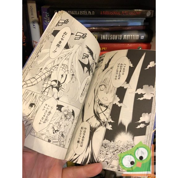 Kentaro Yabuki: To Love Ru Darkness Vol 11. (japán nyelvű manga)