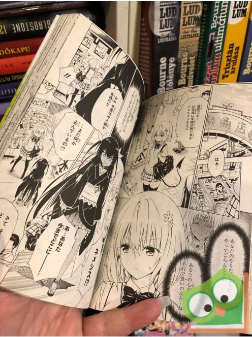Kentaro Yabuki: To Love Ru Darkness Vol 13. (japán nyelvű manga)