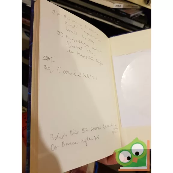 Balogh Béla: Többszintű gyógyulás