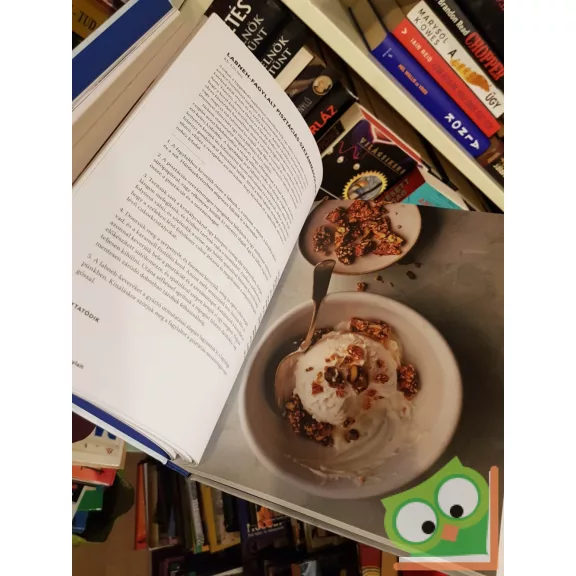 David Lebovitz: A tökéletes fagylalt