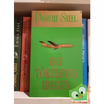 Danielle Steel: Egy tökéletes idegen