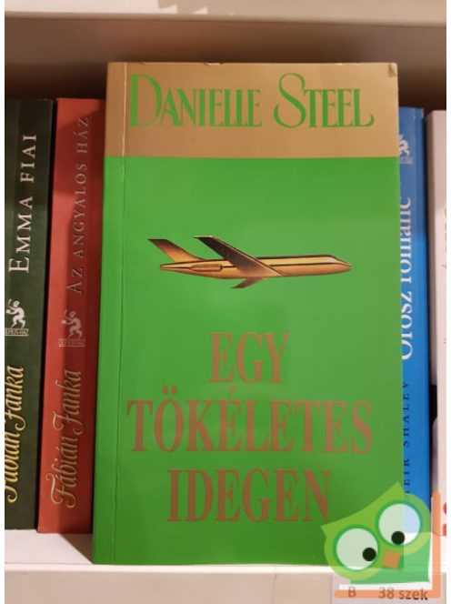 Danielle Steel: Egy tökéletes idegen