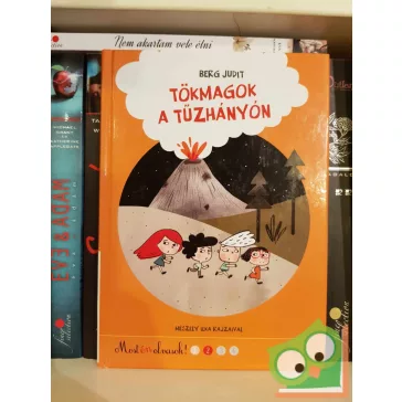 Berg Judit: Tökmagok a tűzhányón (Tökmagok 2.)
