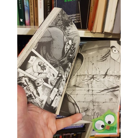 Ishida Sui: Tokyo Ghoul Vol 11. (japán nyelvű manga)